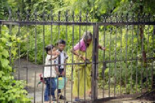 Education for his grandfather: | आस नातवांच्या शिक्षणाची :