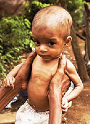 To stop cobbler ... | कोवळी पानगळ थांबवण्यासाठी.. To stop cobbler ... | कोवळी पानगळ थांबवण्यासाठी..