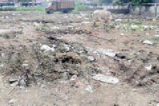 During the Navaratri festival, waste on the road too | नवरात्रोत्सवाच्या काळातही रस्त्यावर कचऱ्याचे ढीग