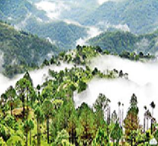 The path of nature .. | निसर्गाची पावलं.. The path of nature .. | निसर्गाची पावलं..