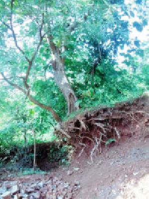 Saltotech in the field of ballast excavation | गिट्टी उत्खनन प्रकरणात साटेलोटे