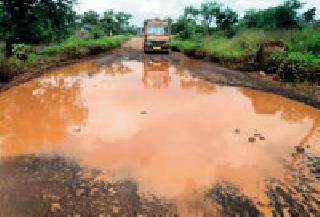 West Maharashtra tops in Wushu tournament | वुशू स्पर्धेत पश्चिम महाराष्ट्राचे खेळाडू अव्वल