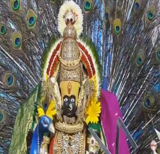 VIDEO: Pooja as Karabiramati's Mayurvahini Kouramiata | VIDEO: करवीरनिवासीनी श्री अंबाबाईची मयूरवाहिनी कौमारीमाता रुपात पुजा. VIDEO: Pooja as Karabiramati's Mayurvahini Kouramiata | VIDEO: करवीरनिवासीनी श्री अंबाबाईची मयूरवाहिनी कौमारीमाता रुपात पुजा.