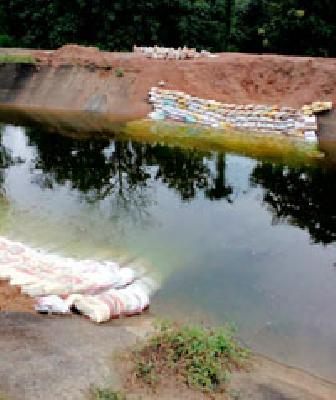 31 villages under irrigation are still deprived | ४६ गावे सिंचनाखाली ३१ गावे अद्याप वंचित