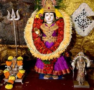 Virar's life-sustaining living mother | विरारची जीवनदायी जीवदानी माता