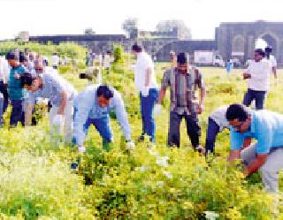 Cleanliness drive through the labor force in Rabwil Fort | श्रमदानातून राबविले किल्ल्यात स्वच्छता अभियान Cleanliness drive through the labor force in Rabwil Fort | श्रमदानातून राबविले किल्ल्यात स्वच्छता अभियान