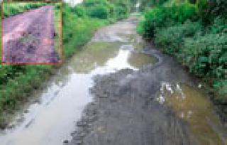 Dhublewa road pothole | धुळवा रस्ता झाला खड्डेमय