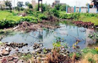 The sewage of apartments at an open space | अपार्टमेंटचे सांडपाणी मोकळ्या जागेवर