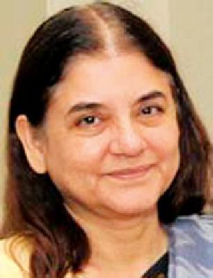 Maneka Gandhi on Wednesday at Wardhat | मेनका गांधी बुधवारी वर्धेत