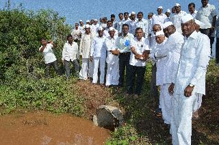 Elephant in the riverbed of the left canal water | डाव्या कालव्याचे पाणी हत्ती नदी पात्रात