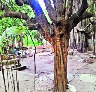 Open canteen will collect history | ओपन कॅँटीन होणार इतिहास जमा Open canteen will collect history | ओपन कॅँटीन होणार इतिहास जमा