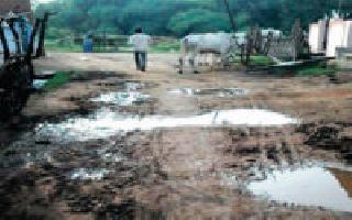 Road to Yashwant Gram Samrudhi Yojna | यशवंत ग्राम समृद्धी योजनेचे रस्ते खड्डेमय