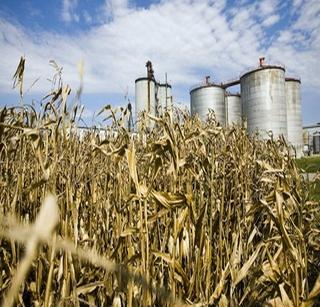 The purchase price of ethanol is fixed | इथेनॉलची खरेदी किंमत निश्चित The purchase price of ethanol is fixed | इथेनॉलची खरेदी किंमत निश्चित