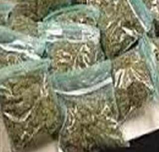 Five people conspiring to get the ganja arrested | गांजाचे सेवन करणाऱ्या पाच जणांना अटक