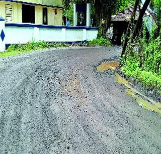 Due to road conditions, tourism business hit | रस्त्यांच्या दुरवस्थेमुळे पर्यटन व्यवसायाला फटका