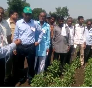 VIDEO: After the sacrifice of many, Eklavya Krishi Vidyapeeth! | VIDEO : अनेकांच्या आहुतीनंतर अकोल्यात झाले कृषी विद्यापीठ ! VIDEO: After the sacrifice of many, Eklavya Krishi Vidyapeeth! | VIDEO : अनेकांच्या आहुतीनंतर अकोल्यात झाले कृषी विद्यापीठ !