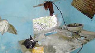 Jewelry theft throughout the day | भर दिवसा दागिन्यांची चोरी Jewelry theft throughout the day | भर दिवसा दागिन्यांची चोरी