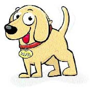 1060 pet dogs registration | मनपाकडे १०६० पाळीव श्वानांची नोंदणी