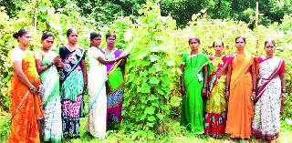 On one hand, | एकीच्या बळावर त्यांनी फुलविली शेती On one hand, | एकीच्या बळावर त्यांनी फुलविली शेती