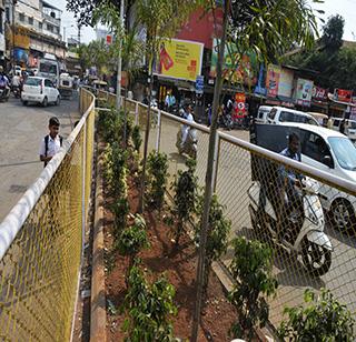 'KSBP' opens the beauty of Kolhapur | ‘केएसबीपी’ ने खुलवले कोल्हापूरचे सौंदर्य 'KSBP' opens the beauty of Kolhapur | ‘केएसबीपी’ ने खुलवले कोल्हापूरचे सौंदर्य