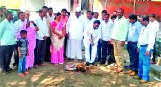 Bhumi Pujan of various development works | विविध विकासकामांचे भूमिपूजन