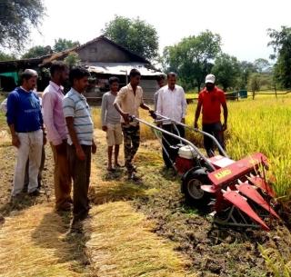 Beneficiaries in the tribal areas utilized the use of Charusutri rice cultivation | चारसूत्री भात लागवडीचा प्रयोग आदिवासी भागात ठरला लाभदायी