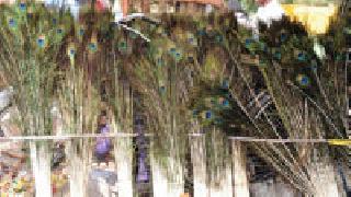 Preparation of cow-colonnade: | तयारी गाय-गोधनाची :