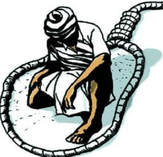 The extent of suicides due to farmers increased | शेतकरी आत्महत्या अपात्रतेचे प्रमाण वाढले The extent of suicides due to farmers increased | शेतकरी आत्महत्या अपात्रतेचे प्रमाण वाढले