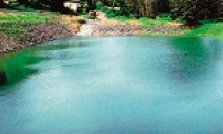 'Watery Shiver' has hundreds of hectare heights | ‘जलयुक्त शिवार’ने शेकडो हेक्टर ओलिताखाली 'Watery Shiver' has hundreds of hectare heights | ‘जलयुक्त शिवार’ने शेकडो हेक्टर ओलिताखाली