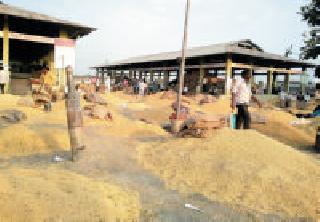 Guarantee of farmers guaranteed | शेतकऱ्यांना हमीभावाचाच आधार Guarantee of farmers guaranteed | शेतकऱ्यांना हमीभावाचाच आधार