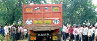 Seven cows have been stolen by the filling truck | भरधाव ट्रकने सात गाई चिरडल्या Seven cows have been stolen by the filling truck | भरधाव ट्रकने सात गाई चिरडल्या