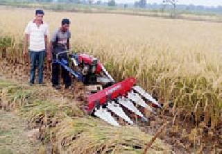 Use of machinery for paddy harvest in the rural areas of the district | जिल्ह्याच्या ग्रामीण भागात धान कापणीसाठी यंत्राचा वापर