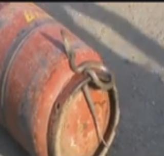 VIDEO: Gas cylinders! | VIDEO : गॅस सिलिंडरच्या छिद्रात अडकला साप!