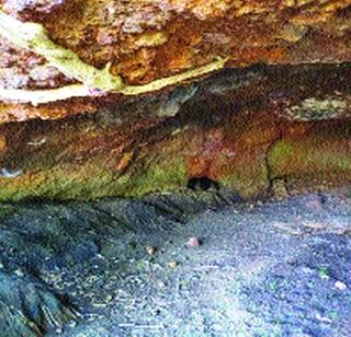 Cows need breathing 'protection' | लेण्यांना ‘संरक्षण’रूपी श्वासाची गरज Cows need breathing 'protection' | लेण्यांना ‘संरक्षण’रूपी श्वासाची गरज