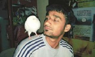 Ashutosh Savior of Animals | पशुपक्ष्यांचा तारणहार आशुतोष- Ashutosh Savior of Animals | पशुपक्ष्यांचा तारणहार आशुतोष-