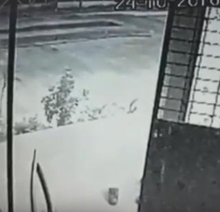 The Chakan Panchkrishita leopard's population is over | चाकण पंचक्रोशीत बिबट्याचा लोकवस्तीत वावर