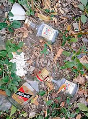 Alcohol bottles found in the next day | दुसऱ्या दिवशीही आढळल्या दारुच्या बाटल्या
