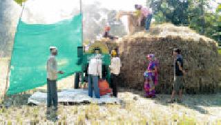 The victims are busy: | बळीराजा व्यस्त :