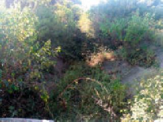 Water wastage due to disturbances, disturbances, disturbances | फुटक्या वितरिका, पाटचऱ्यांमुळे पाण्याचा अपव्यय Water wastage due to disturbances, disturbances, disturbances | फुटक्या वितरिका, पाटचऱ्यांमुळे पाण्याचा अपव्यय