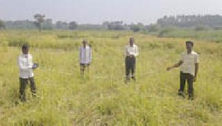 Bent power pole is dangerous | वाकलेला वीज खांब धोकादायक Bent power pole is dangerous | वाकलेला वीज खांब धोकादायक