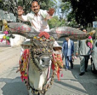 Ride Nandi: | सवारी नंदीची :