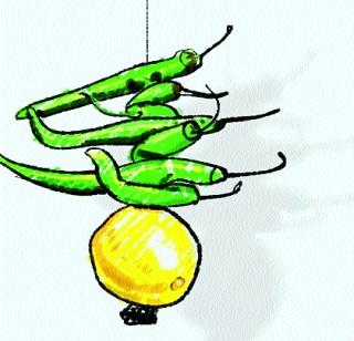 The feet of the feet of the feet were held for the purpose! | वर्णी लागावी म्हणून बुवांचे धरले पाय! The feet of the feet of the feet were held for the purpose! | वर्णी लागावी म्हणून बुवांचे धरले पाय!