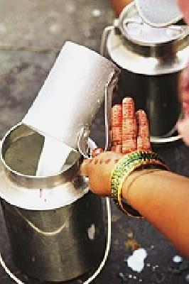 Gokul tops in milk procurement | दूध संकलनात ‘गोकुळ’ देशात अव्वल Gokul tops in milk procurement | दूध संकलनात ‘गोकुळ’ देशात अव्वल