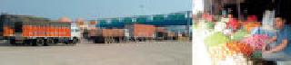 Inter-state border inspection naka at Shirpur near Deori | देवरीजवळच्या शिरपूर येथील आंतरराज्यीय सीमा तपासणी नाक्यावर