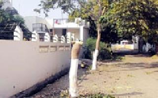 Slaughter of three public roads in the road | रस्त्यालगतच्या तीन सार्वजनिक वृक्षांची कत्तल