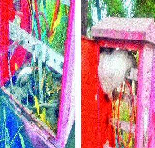 The Battle of Snake-Manjra Both of them | साप-मांजराची लढाई; दोघांचाही रोहित्रात करुण अंत The Battle of Snake-Manjra Both of them | साप-मांजराची लढाई; दोघांचाही रोहित्रात करुण अंत