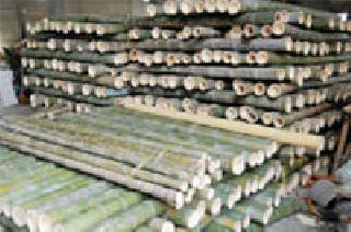 2.45 crores in eight months | आठ महिन्यांत २.४५ कोटींचे उत्पन्न