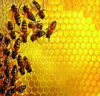 Millionaire drunk man! | लक्षाधीश मधाळ माणूस! Millionaire drunk man! | लक्षाधीश मधाळ माणूस!