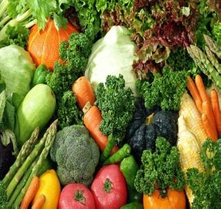 Horticulture program in only four districts of Vidarbha! | विदर्भातील केवळ चार जिल्ह्यात फलोत्पादन कार्यक्रम! Horticulture program in only four districts of Vidarbha! | विदर्भातील केवळ चार जिल्ह्यात फलोत्पादन कार्यक्रम!