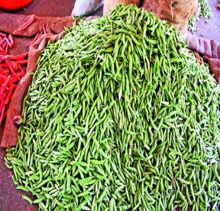 Green chilli, eggplant and guava prices increase | हिरवी मिरची, वांगी, गवारच्या भावात वाढ Green chilli, eggplant and guava prices increase | हिरवी मिरची, वांगी, गवारच्या भावात वाढ